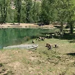 キャンプ場 Spacieux Avec Terrasse Pour 6 Personnes - Api-1-52-482